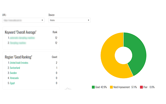 Keyword Ranking Diagnostics - Long-term Tracking
